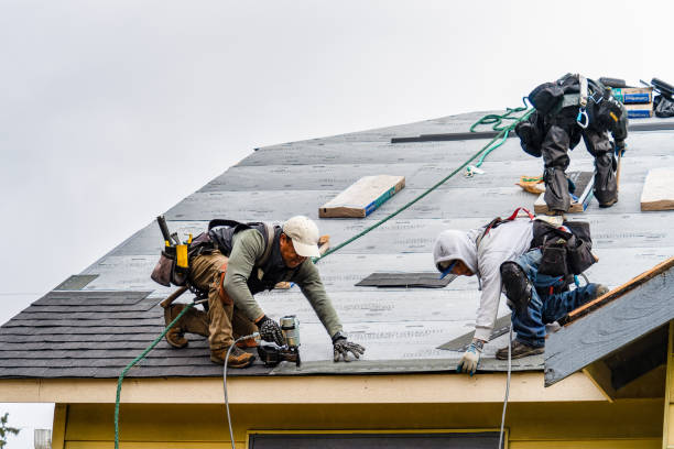 Professional Roofing technician working in Laura, IL